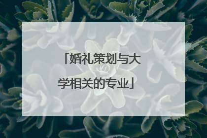 婚礼策划与大学相关的专业