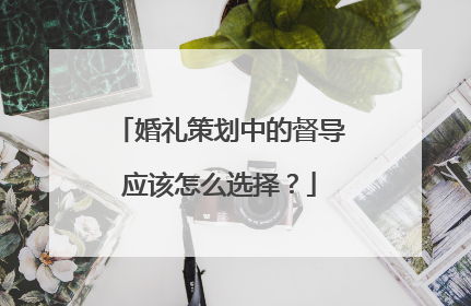 婚礼策划中的督导应该怎么选择？