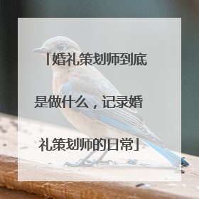 婚礼策划师到底是做什么，记录婚礼策划师的日常