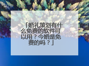 婚礼策划有什么免费的软件可以用?今婚是免费的吗?
