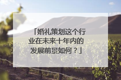 婚礼策划这个行业在未来十年内的发展前景如何？