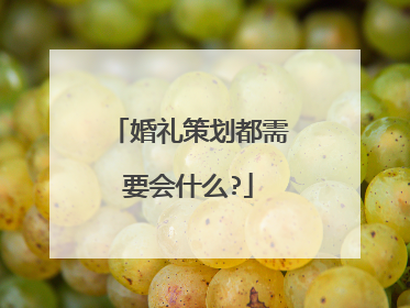 婚礼策划都需要会什么?