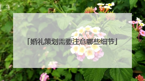 婚礼策划需要注意哪些细节