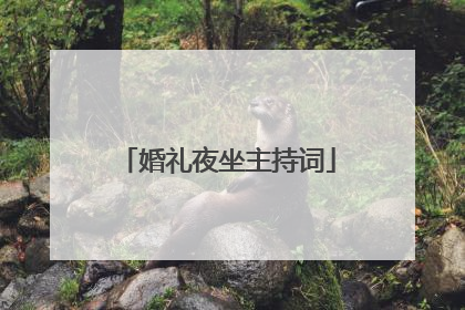 婚礼夜坐主持词
