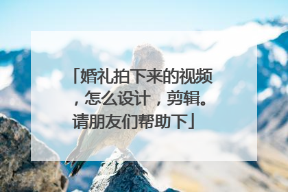 婚礼拍下来的视频,怎么设计,剪辑。请朋友们帮助下