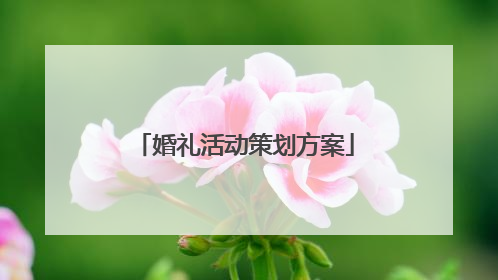 婚礼活动策划方案