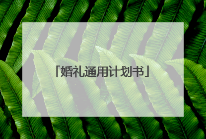 婚礼通用计划书