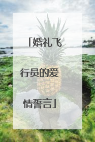 婚礼飞行员的爱情誓言