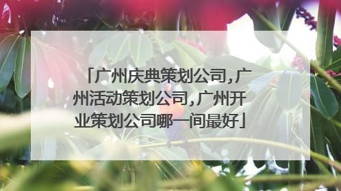 广州庆典策划公司,广州活动策划公司,广州开业策划公司哪一间最好