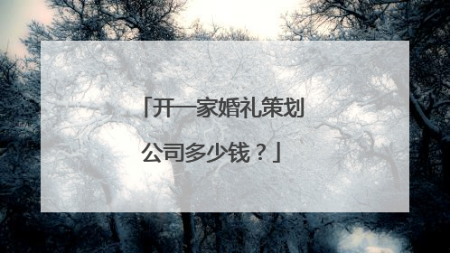 开一家婚礼策划公司多少钱?