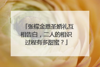 张檬金恩圣婚礼互相告白，二人的相识过程有多甜蜜？