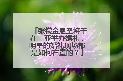张檬金恩圣将于在三亚举办婚礼，明星的婚礼现场都是如何布置的？