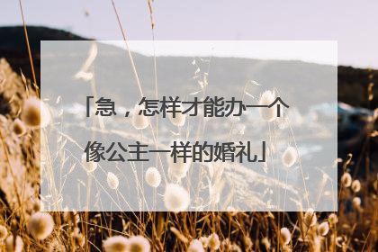 急,怎样才能办一个像公主一样的婚礼