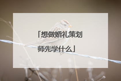 想做婚礼策划师先学什么