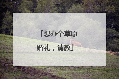 想办个草原婚礼，请教