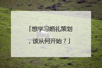 想学习婚礼策划，该从何开始？