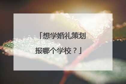 想学婚礼策划报哪个学校？