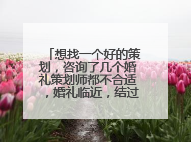 想找一个好的策划，咨询了几个婚礼策划师都不合适，婚礼临近，结过婚的亲们，谁能帮我推荐下，急 急 急
