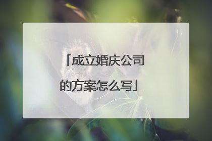 成立婚庆公司的方案怎么写