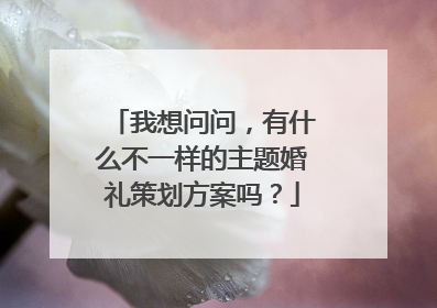 我想问问，有什么不一样的主题婚礼策划方案吗？