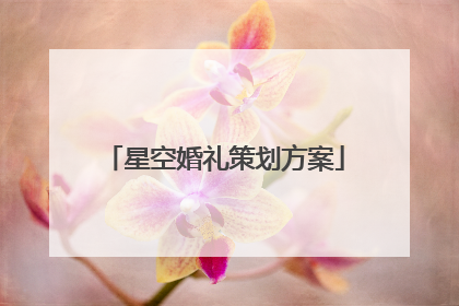 星空婚礼策划方案