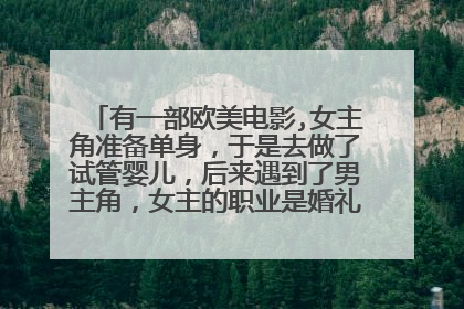 有一部欧美电影,女主角准备单身,于是去做了试管婴儿,后来遇到了男主角,女主的职业是婚礼策划还是婚纱