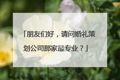 朋友们好，请问婚礼策划公司那家最专业？