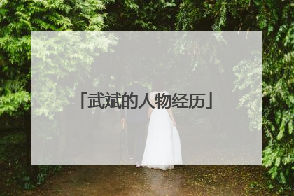 武斌的人物经历