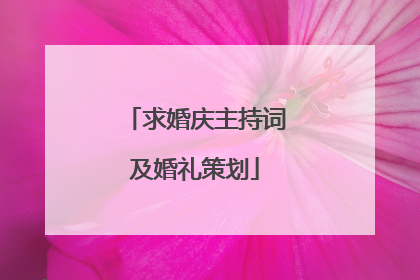 求婚庆主持词及婚礼策划