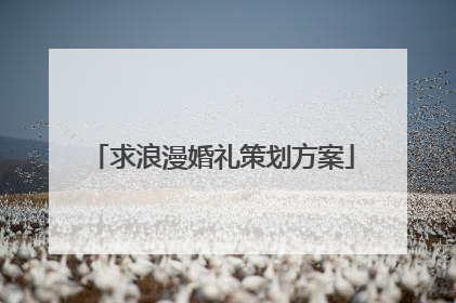 求浪漫婚礼策划方案