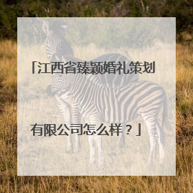 江西省臻颖婚礼策划有限公司怎么样？