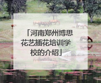 河南郑州博思花艺插花培训学校的介绍