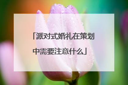 派对式婚礼在策划中需要注意什么