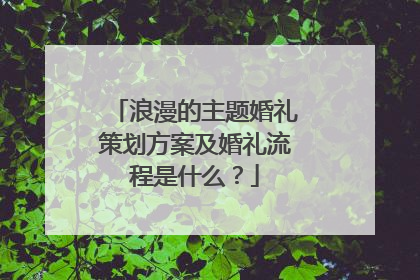 浪漫的主题婚礼策划方案及婚礼流程是什么?