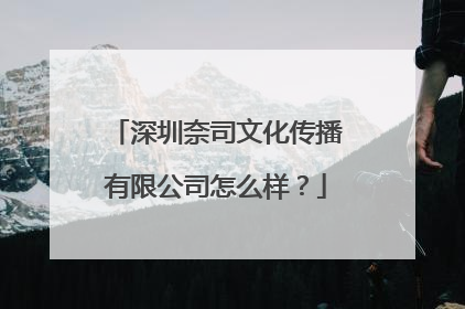 深圳奈司文化传播有限公司怎么样？
