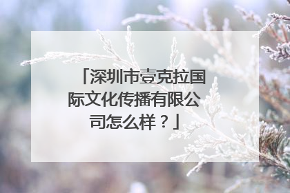 深圳市壹克拉国际文化传播有限公司怎么样？