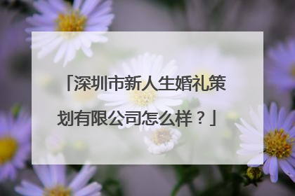 深圳市新人生婚礼策划有限公司怎么样?