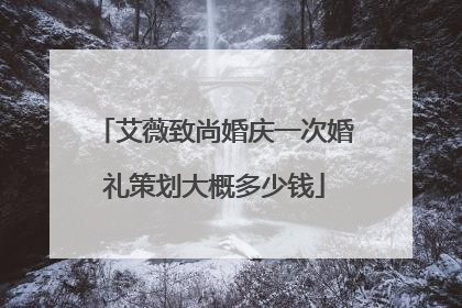 艾薇致尚婚庆一次婚礼策划大概多少钱