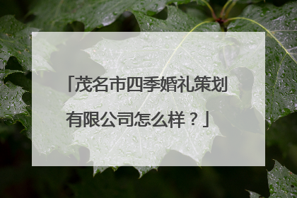 茂名市四季婚礼策划有限公司怎么样？