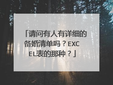 请问有人有详细的备婚清单吗？EXCEL表的那种？