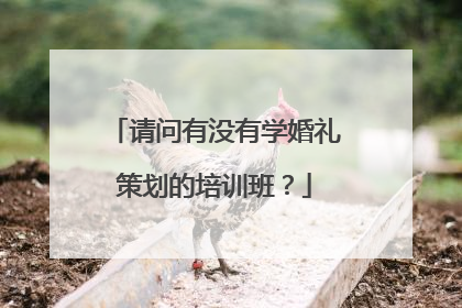 请问有没有学婚礼策划的培训班？
