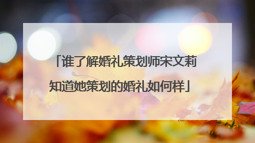 谁了解婚礼策划师宋文莉知道她策划的婚礼如何样