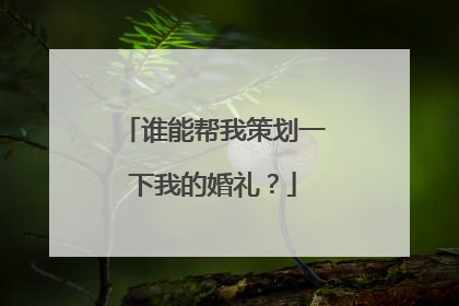 谁能帮我策划一下我的婚礼?