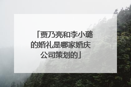 贾乃亮和李小璐的婚礼是哪家婚庆公司策划的