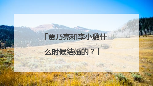 贾乃亮和李小璐什么时候结婚的?