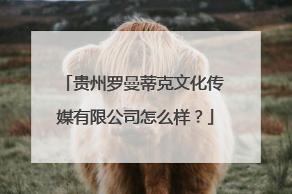 贵州罗曼蒂克文化传媒有限公司怎么样？