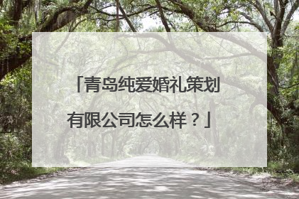 青岛纯爱婚礼策划有限公司怎么样?