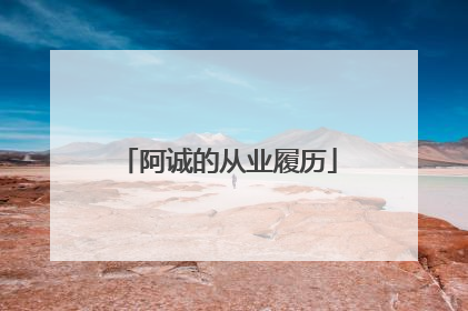 阿诚的从业履历