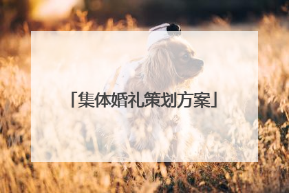 集体婚礼策划方案