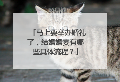 马上要举办婚礼了,结婚婚宴有哪些具体流程?